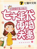 七十年代二婚妻晋江